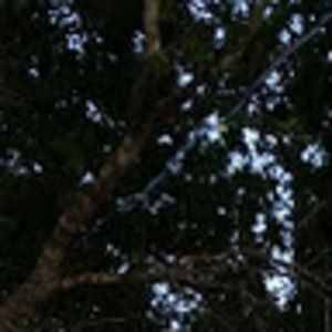 Meet your Posher, Cody